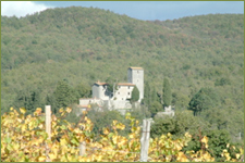 Wijnstreek Toscane
